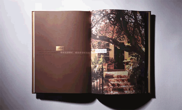 地產(chǎn)畫(huà)冊(cè)  第2張