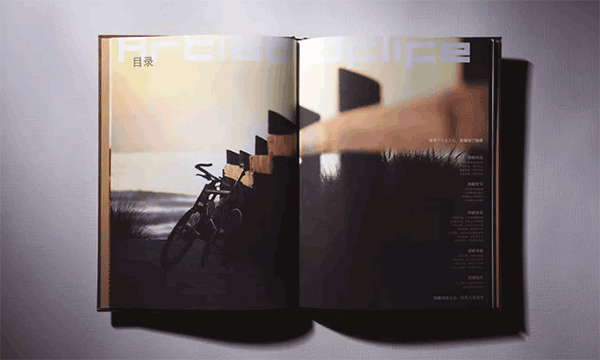 地產(chǎn)畫(huà)冊(cè)  第3張