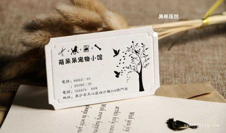 名片設(shè)計欣賞-異形名片  第2張