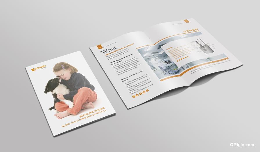 上海畫冊(cè)印刷廠  第2張