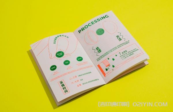 非正經(jīng)手沖咖啡指南說(shuō)明書(shū)印刷  第4張