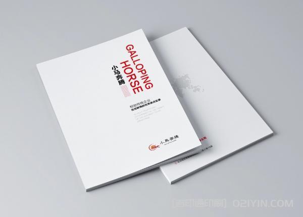 海外產(chǎn)品畫(huà)冊(cè)印刷  第2張