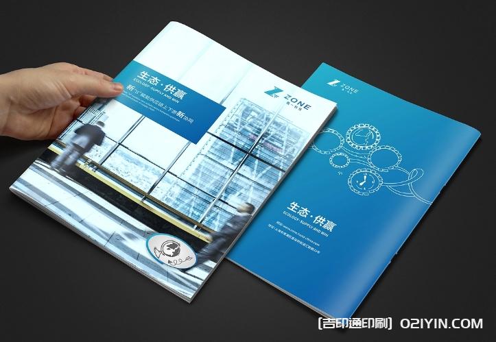 生態(tài)軟件IT供應鏈畫冊設計  第3張