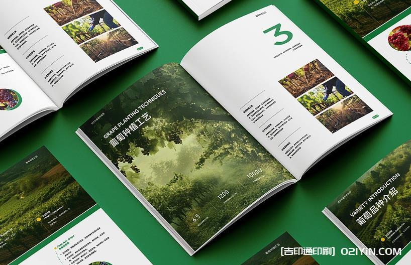 上海企業(yè)畫冊印刷專家：從設(shè)計(jì)到成品，一站式品質(zhì)服務(wù)