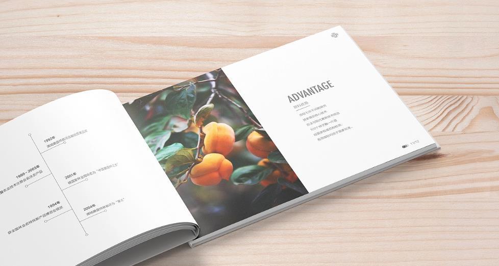 上海黃浦區(qū)畫(huà)冊(cè)印刷的設(shè)計(jì)需求有哪些？