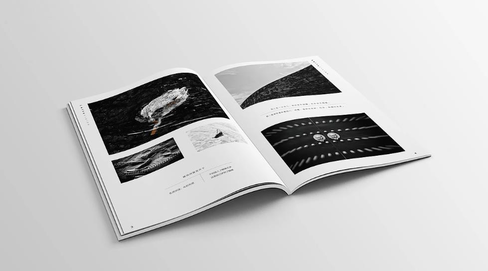 上海專業(yè)樣本畫冊印刷：企業(yè)的品牌形象守護(hù)者