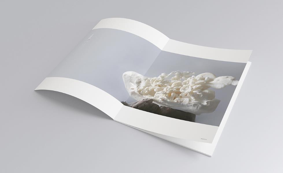 彩頁印刷常規(guī)尺寸有哪些？